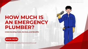 How Much Is an Emergency Plumber? Understanding Costs, Services, and Benefits